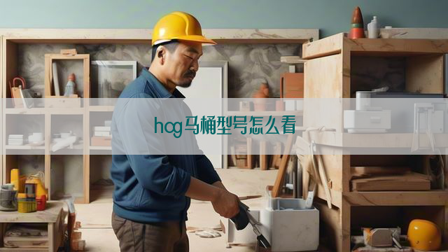 hcg马桶型号怎么看