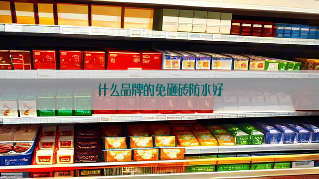 什么品牌的免砸砖防水好