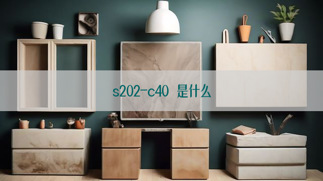 s202-c40 是什么